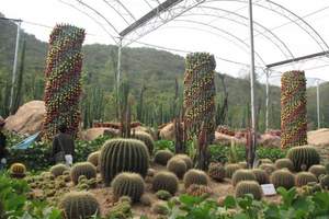 興隆熱帶植物園