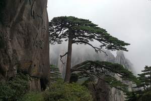 濟南到黃山、千島湖大巴四日遊-山東成(chéng)團-純玩黃山大美千島