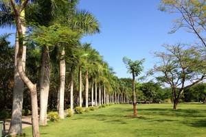 西雙版納熱帶花卉園