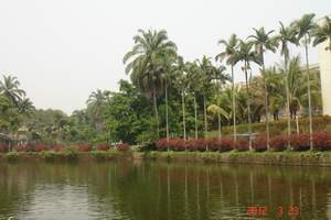 中國(guó)科學(xué)院西雙版納熱帶植物園