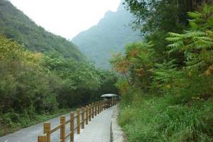 雲台山茱萸峰